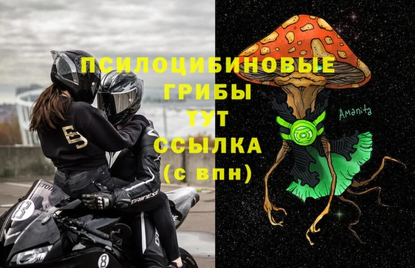 молекула духа Магас