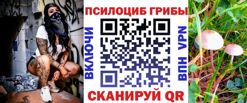 Псилоцибиновые грибы мухоморы  Вязьма 