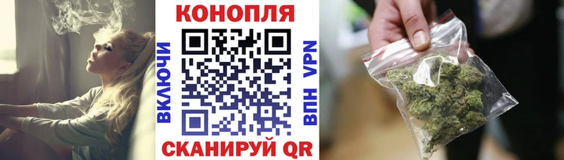 Конопля гибрид  Вязьма 